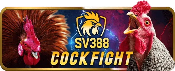 Banner khuyến mãi và ưu đãi tic88
